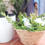 Appartement Casa Terraço: Espaço, Conforto E Terraço Com Churrasqueira *