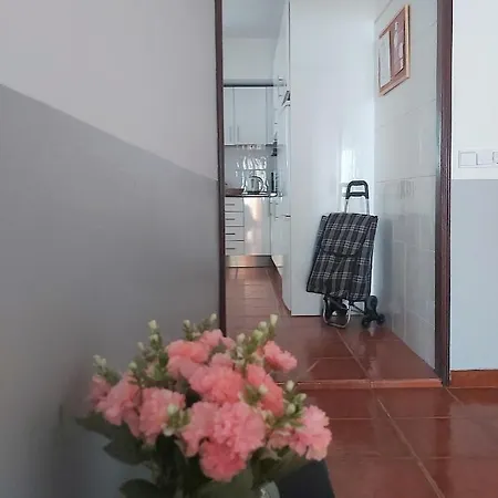 Casa Terraco: Espaco, Conforto E Terraco Com Churrasqueira